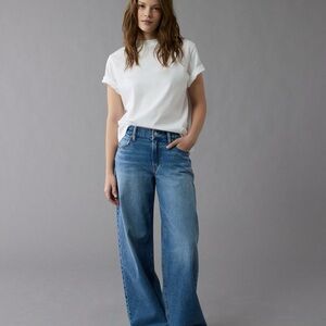 American Eagle Outfitters Strigid Low Rise Ultra Wide Leg Jeans